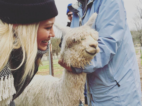 Valentine's Day came a little early for Hilary Duff as boyfriend Matthew Koma gifted her Ivan the alpaca.