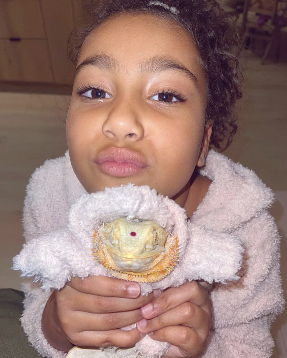 Kim Kardashian introduced the world to daughter North's new pet, Speed the bearded dragon.