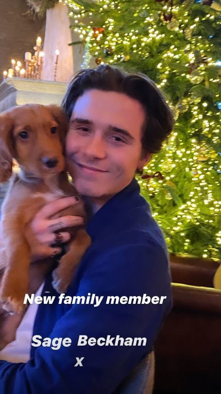 The Beckham's welcomed a new member into their family on Christmas Day: a puppy named Sage. Victoria Beckham shared a snap of her oldest son Brookyn, 20, cuddling Sage on her Instagram stories on Wednesday. The Beckhams also have two dogs named Coco and Olive.