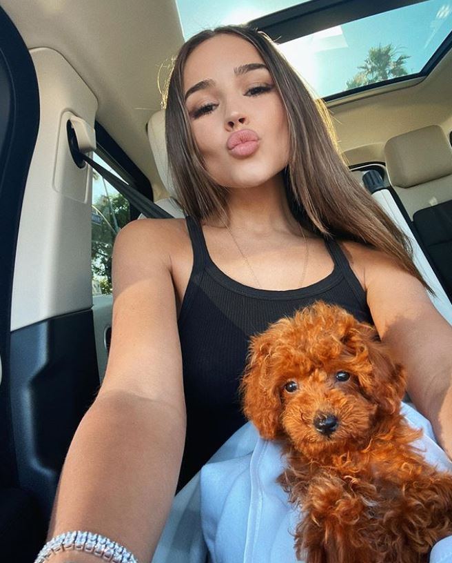 Olivia Culpo is the newest celebrity member of the dog mom club: the model introduced her followers to her new dog Oliver on July 10, 2020.