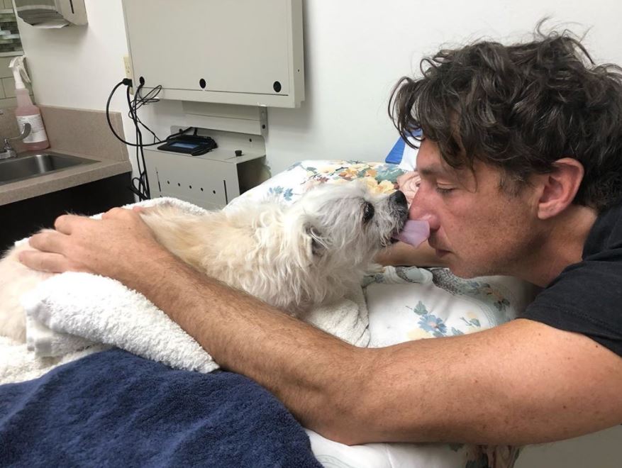 Zach Braff said his goodbyes to his longtime furry friend Roscoe on Oct. 2, 2020. The actor shared a series of heartfelt photos of the pup, including one where he licked his owner's face