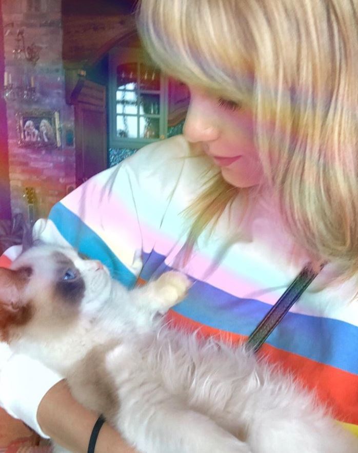 Taylor Swift only has eyes for her kittens: the