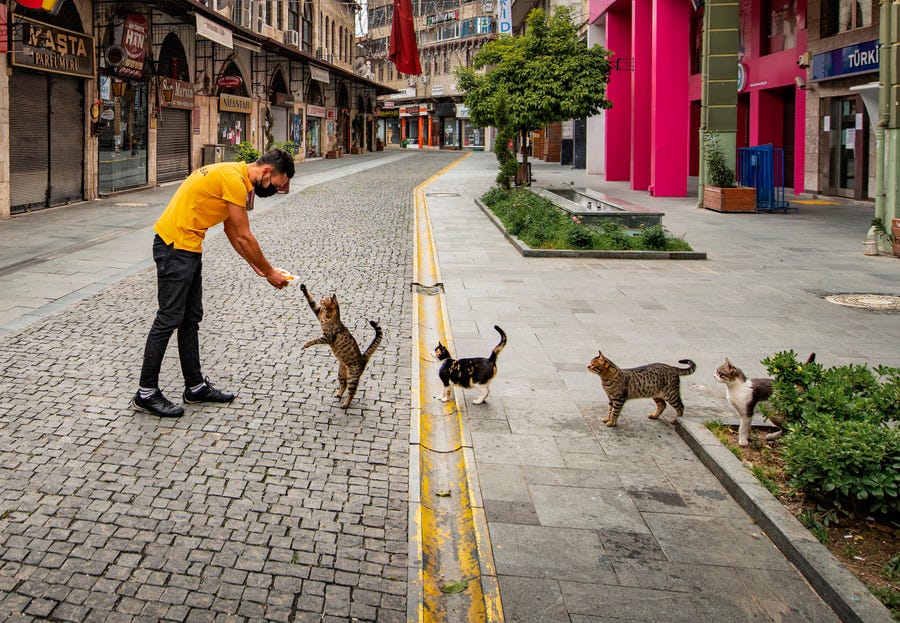 Mehmet Aslan 'Social distance meal order'