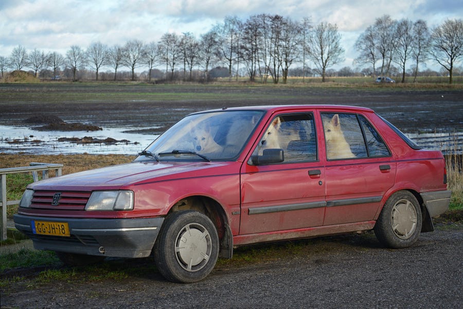 Alice van Kempen 'The Shepherd Family Road Trip'