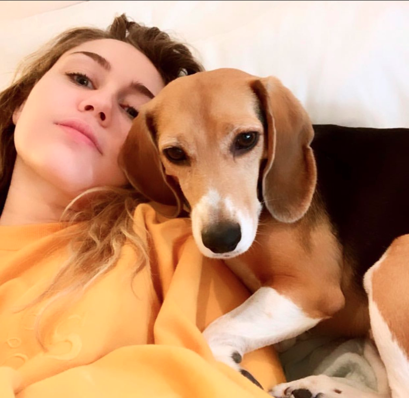 Miley Cyrus shares a sweet cuddle with Little Dog, one of her many four-legged pets.