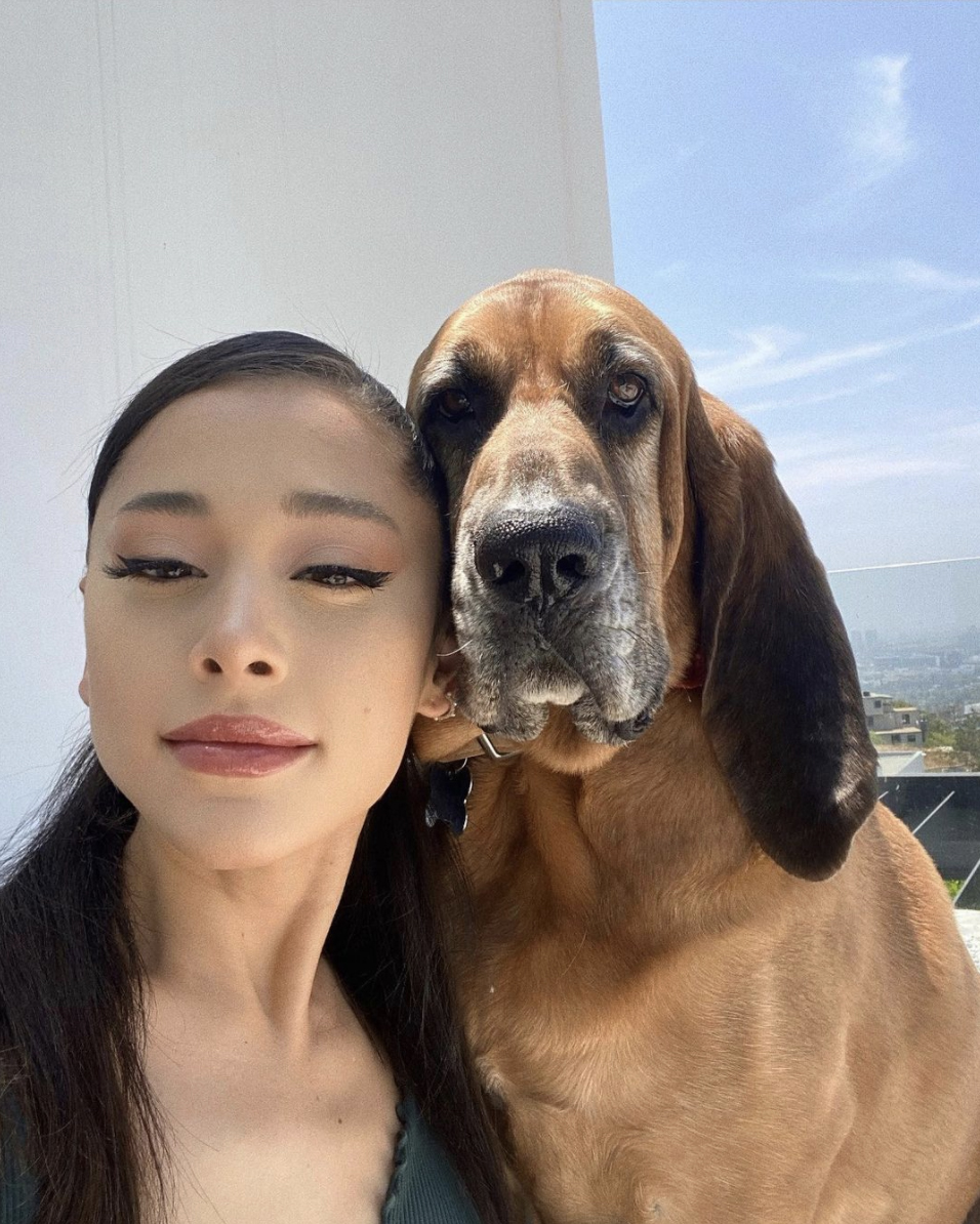 Ariana Grande snapped a selfie with her pup Lafayette on Monday, Aug. 9, 2021. The 28-year-old singer shared the Instagram post on her story with the caption: