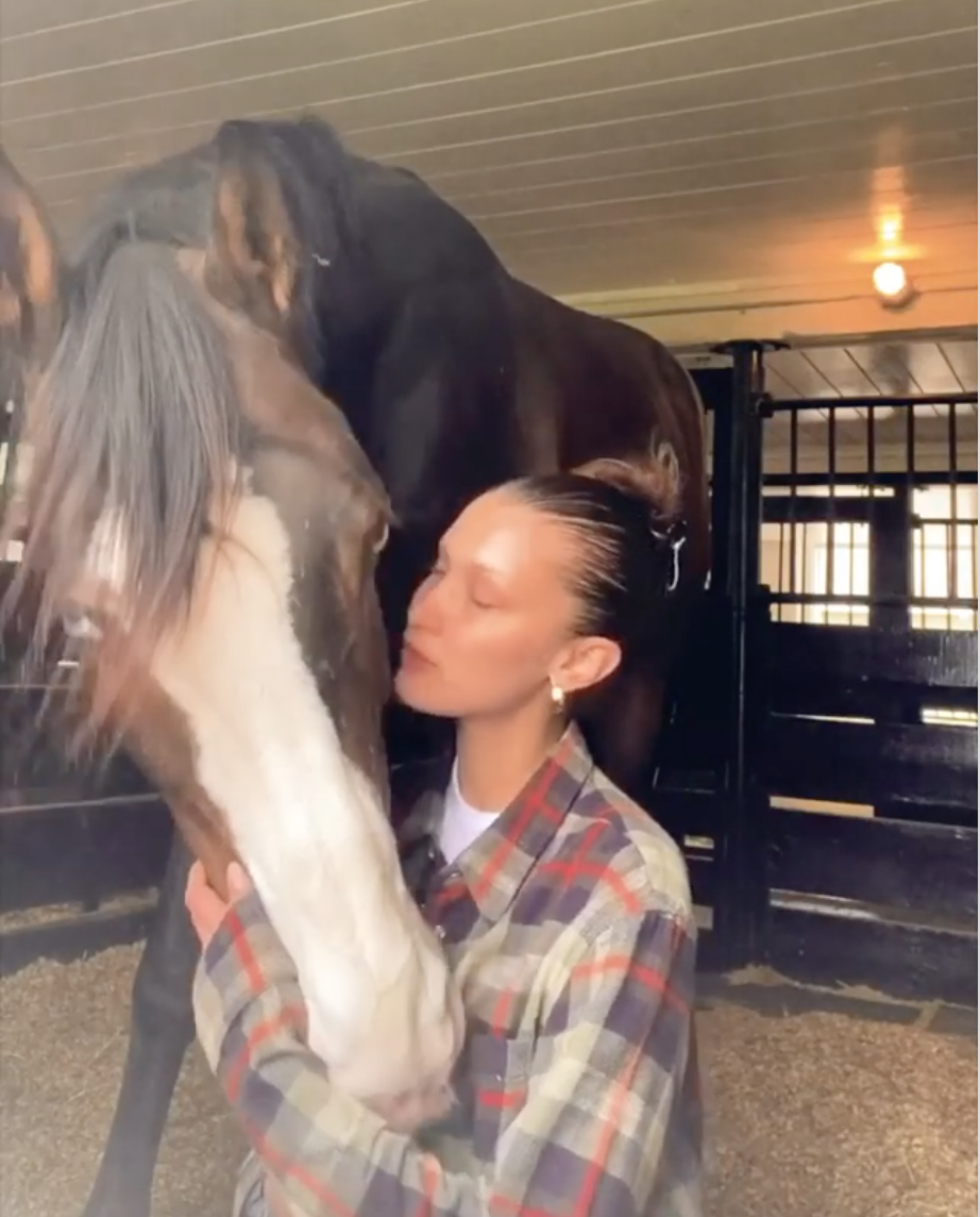 Bella Hadid shared a sweet moment with Blue the horse on her family farm amid the coronavirus. The 23-year-old model captioned the video filled with hugs and kisses: