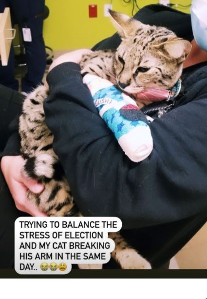 Hailey Bieber's cat Sushi suffered a broken arm on Nov. 5, 2020, according to her Instagram stories. The model posted a heartbreaking photo of the cat in a cat cuddled in her arms with the caption