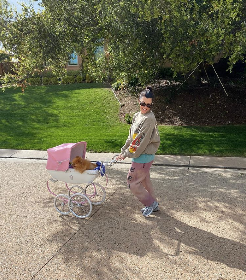 Kourtney Kardashian went for a stroll with her pup in a carriage for some sunshine during the coronavirus outbreak.