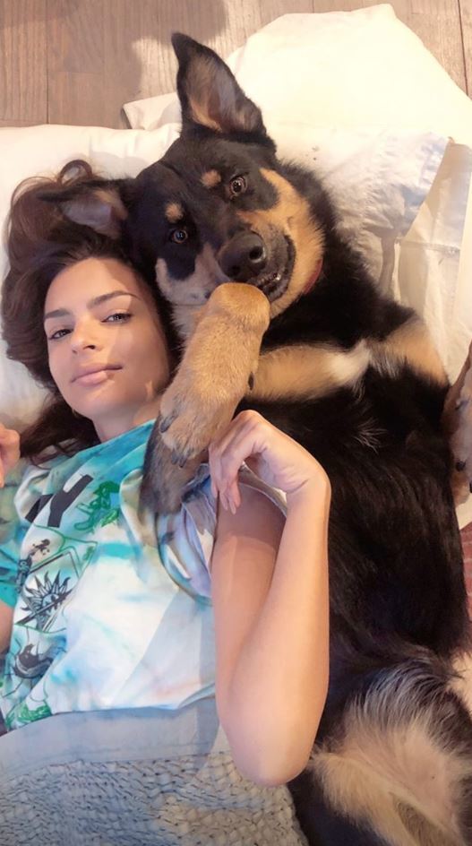 Emily Ratajkowski was all smiles cuddling with her beloved pup Colombo during a