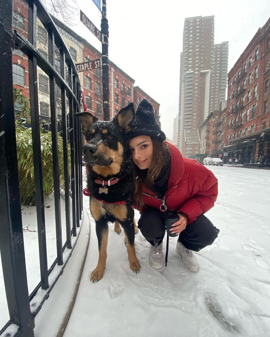 Emily Ratajkowski, 28, snuggles up with puppy Colombo during a snow New York day. Ratajkowski captioned the sweet family photos: