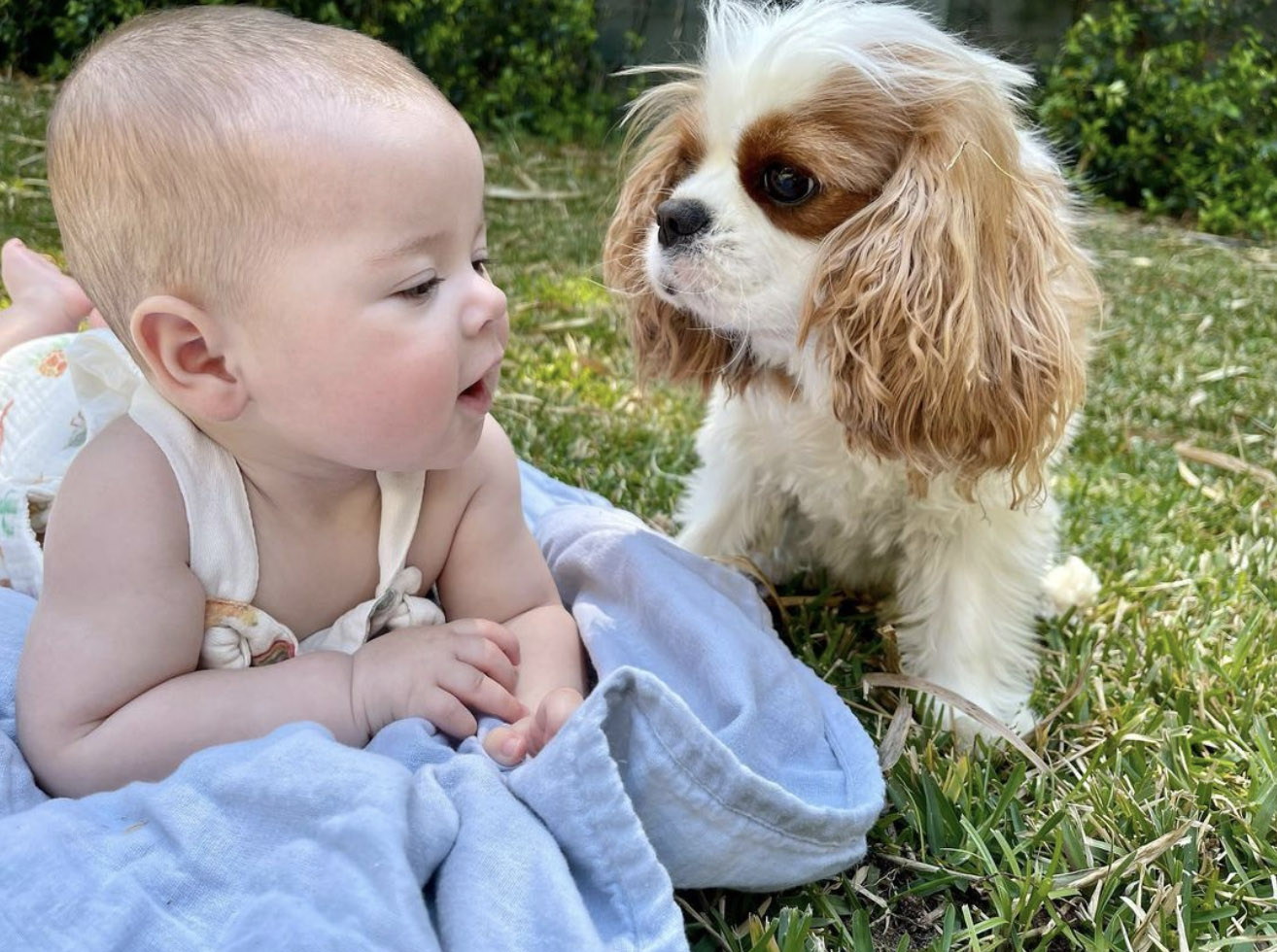 Bindi Irwin snapped an adorable photo of daughter Grace Warrior