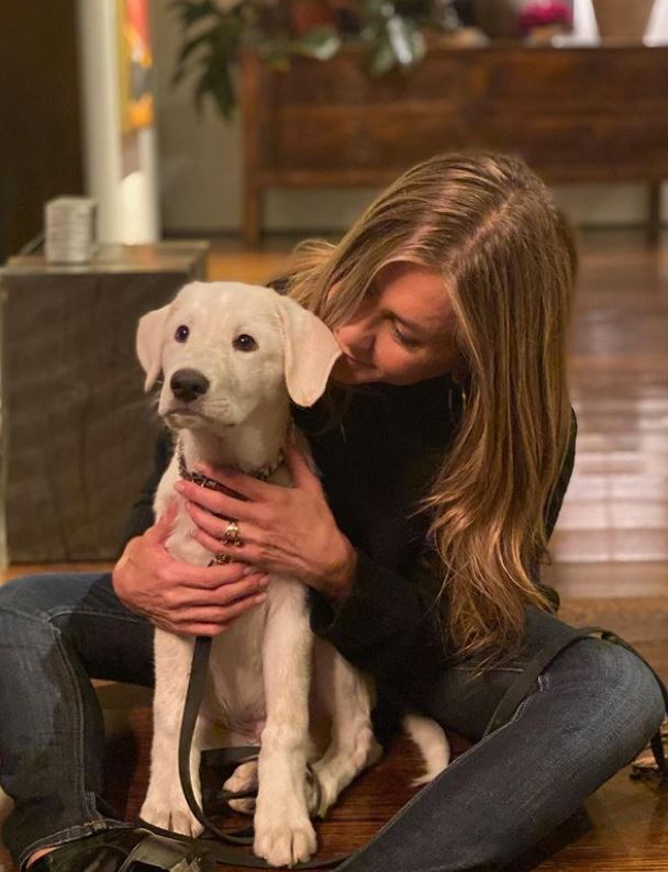 Jennifer Aniston looked more than content spending Thanksgiving with her adorable dog Lord Chesterfield on Nov. 26, 2020. The actress was all smiles with her pet on her lap, a snap she captioned