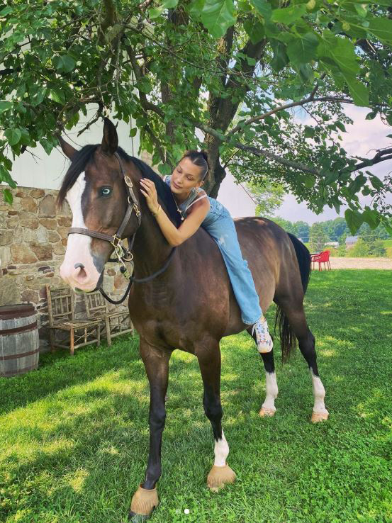 Bella Hadid never fails to show her horse Blue some love. The model, an avid lover of horses, spent some quality time with Blue on July 8, 2020, as seen in a number of videos and photos she took of their morning together.