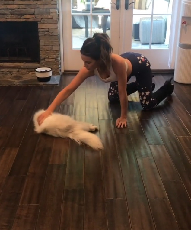 Kate Beckinsale posted on instagram a video of her cat Willow.