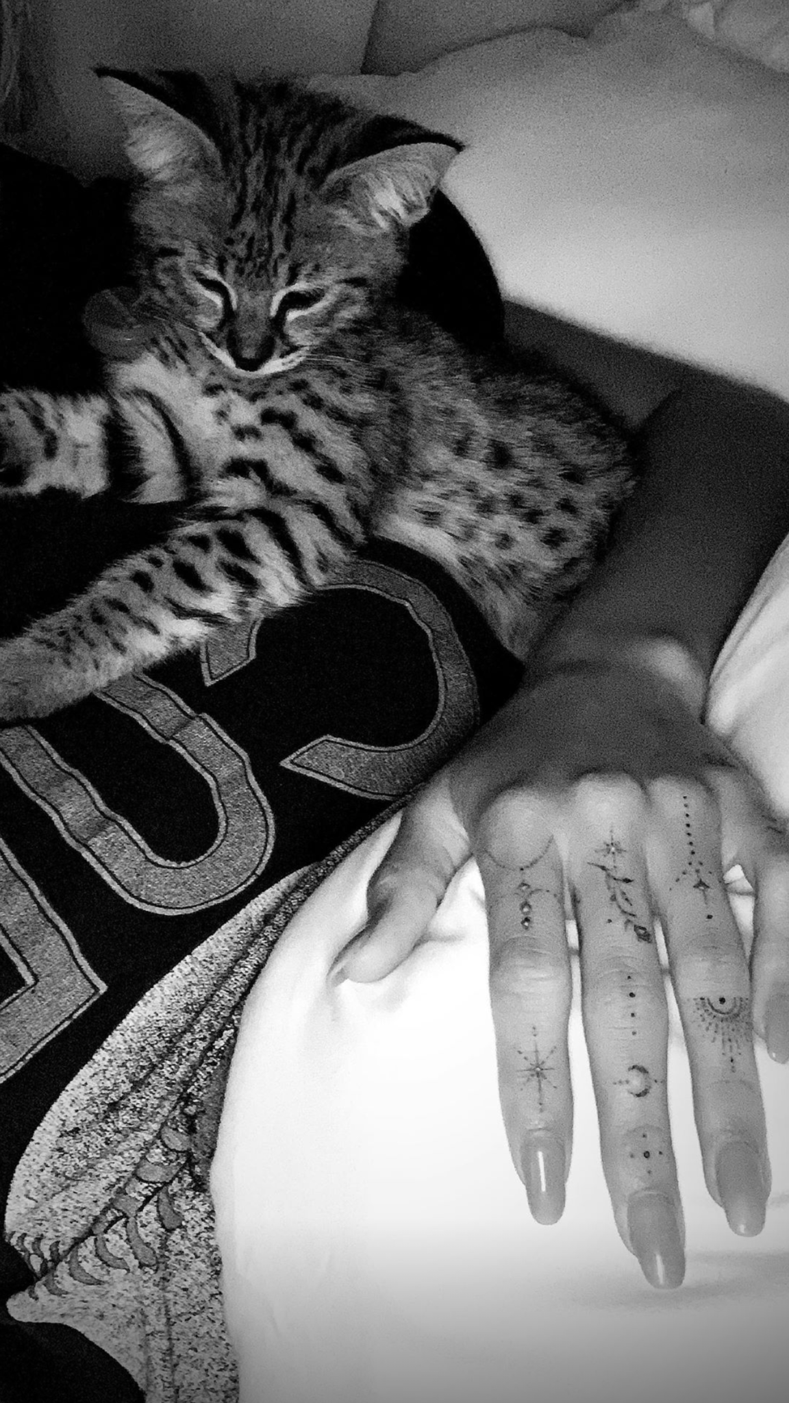 Hailey Bieber cuddles up with the newest addition to the Bieber household: Sushi the kitten.