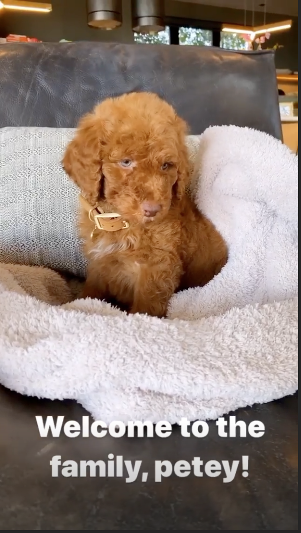 Chrissy Teigen took to Instagram to introduce her new family puppy, Petey, on Sunday, Jan. 5, 2020.