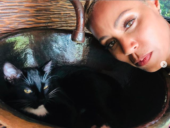 Jada Pinkett Smith had to fight over the sink with her cat, who found a comfy napping spot inside the basin.