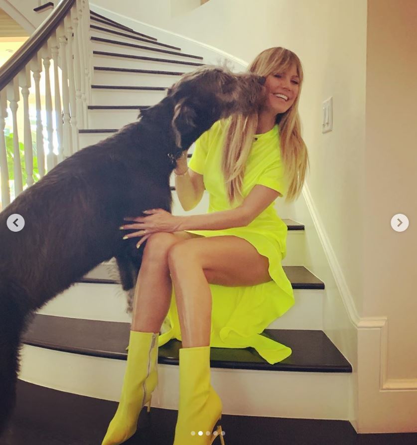 Heidi Klum kicked off her weekend with some snuggles from her dog Anton on Sept. 13, 2019. The model posted a series of photos of her big dog leaning in for some love with the caption