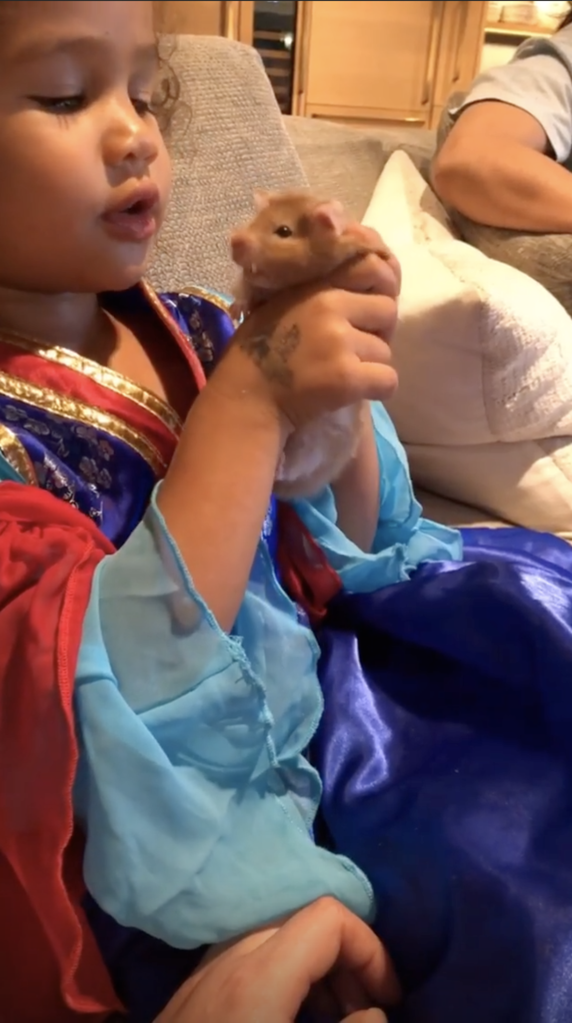 Mom Chrissy captured a princess dress-wearing Luna playing with her pet hamster, Peanut Butter, on Instagram stories on Monday night, June 10, 2019.