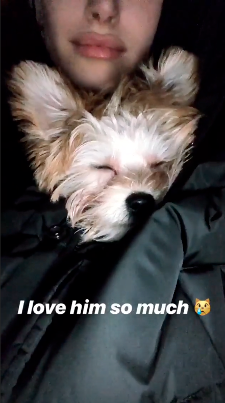 Hailey Bieber shares her love for her puppy Oscar on Instagram on Feb. 25. Bieber also posted a video of the two cuddling in bed with the caption,