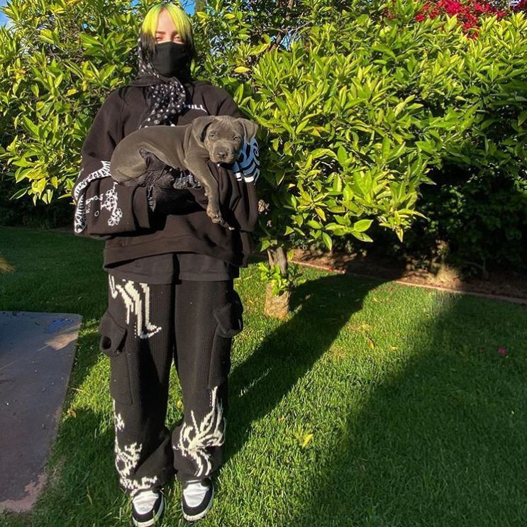 Billie Eilish has embraced being a foster fail parent: days after the singer admitted that her former pitbull foster puppy would now be a member of the family, the singer posed with the puppy in her backyard in a snap captioned with a shark emoji.