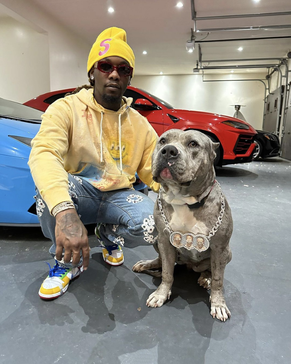 Rapper Offset poses for a photo with his pup Walk on Wednesday, Feb. 22, 2023. His pitbull can be seen rocking a Migos chain, representing his dad's rap trio.