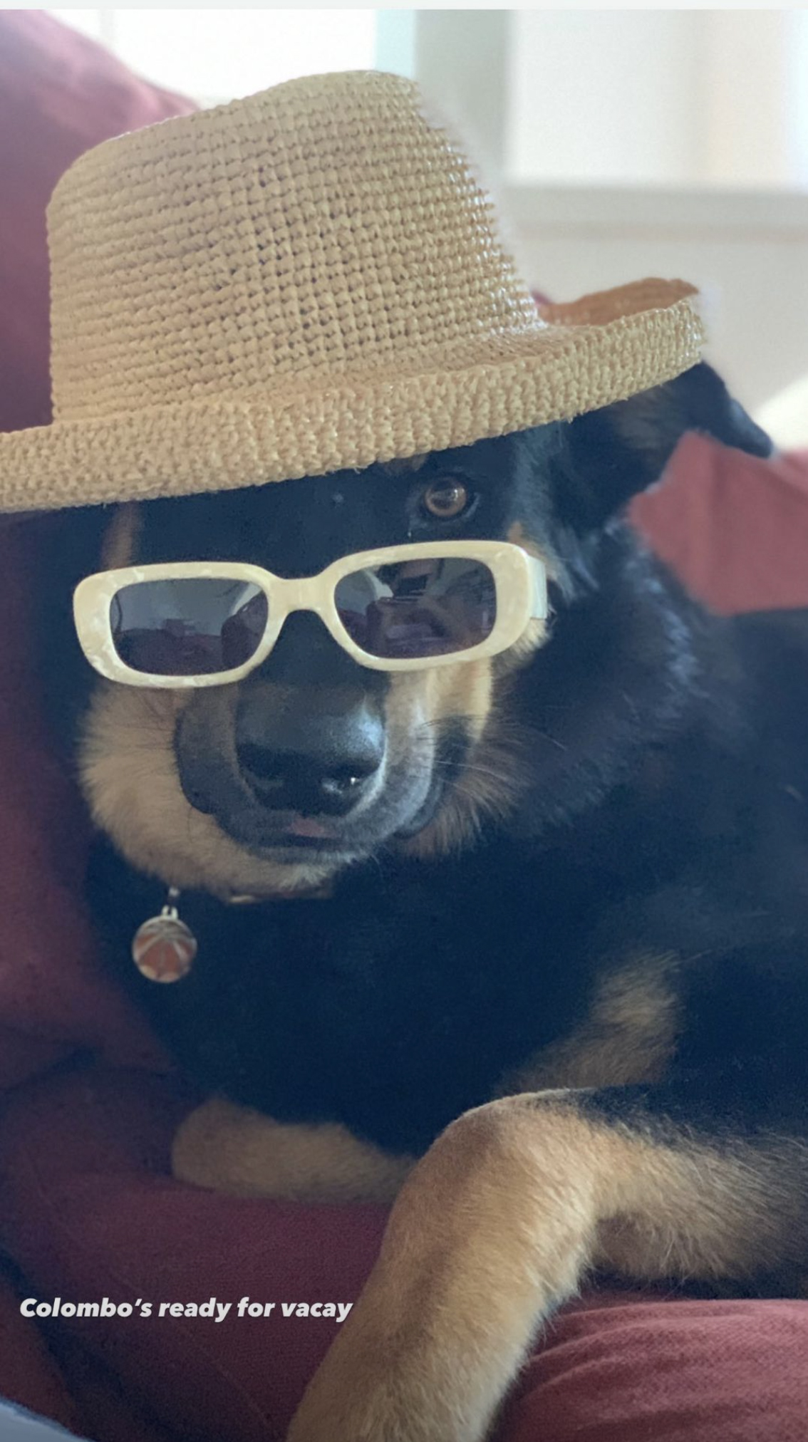 Emily Ratajkowski shared an adorable picture of her dog Colombo wearing a straw hat and sunglasses as he's