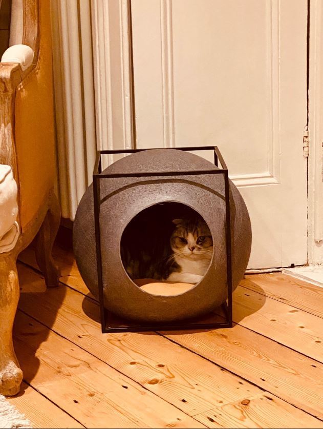 Taylor Swift is showing that is anyone knows anything about social distancing, it's her cat Meredith. The singer snapped a photo of her cat in tucked away in her bed on March 16, 2020 with the caption