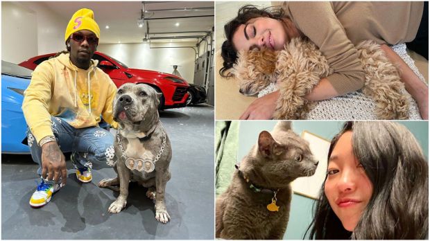 Celebrities share the love with the furry friends.