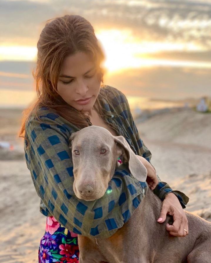 The Mendes-Gosling home just added a new furry member to their family: Lucho the dog! Eva Mendes took to Instagram on July 10, 2019 to introduce fans to the household's newest member and speak about the importance of adopting, and not shopping for, a pet.