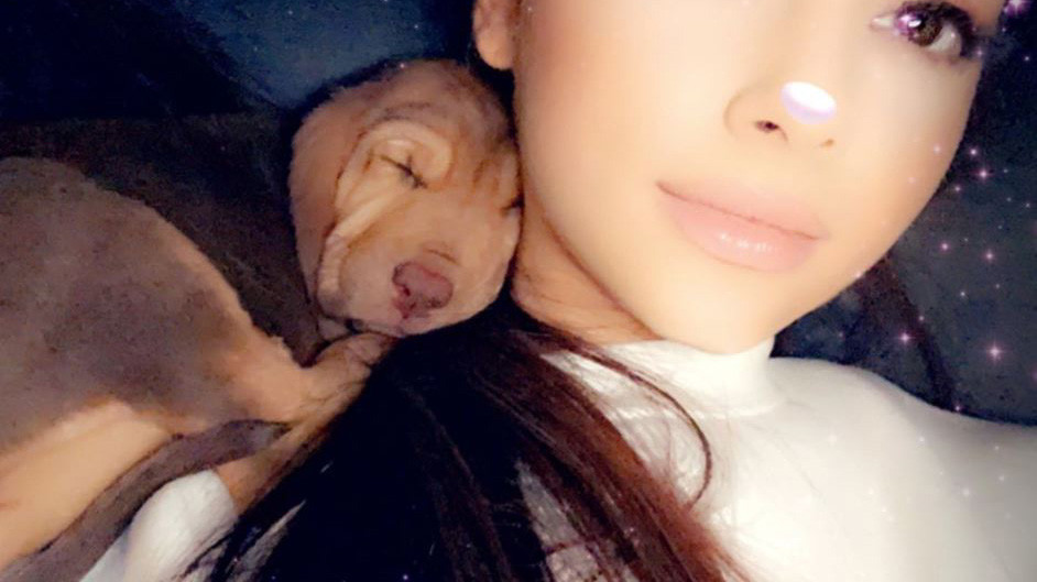 Ariana Grande cuddles with one of her two new puppies, Snape and Lily, on Instagram on July 11, 2019.