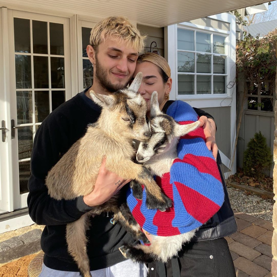 Anwar Hadid and singer Dua Lipa become mom and dad to two adorable little goats named Funky and BamBam.