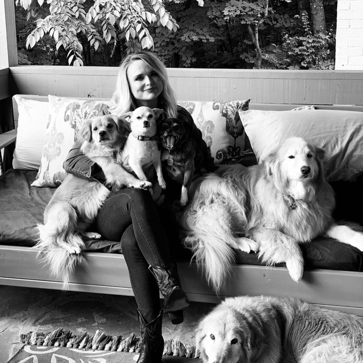 Country singer Miranda Lambert celebrated National Mutt Day with a picture of five of her nine dogs. Lambert, 35, captioned the furry photo: