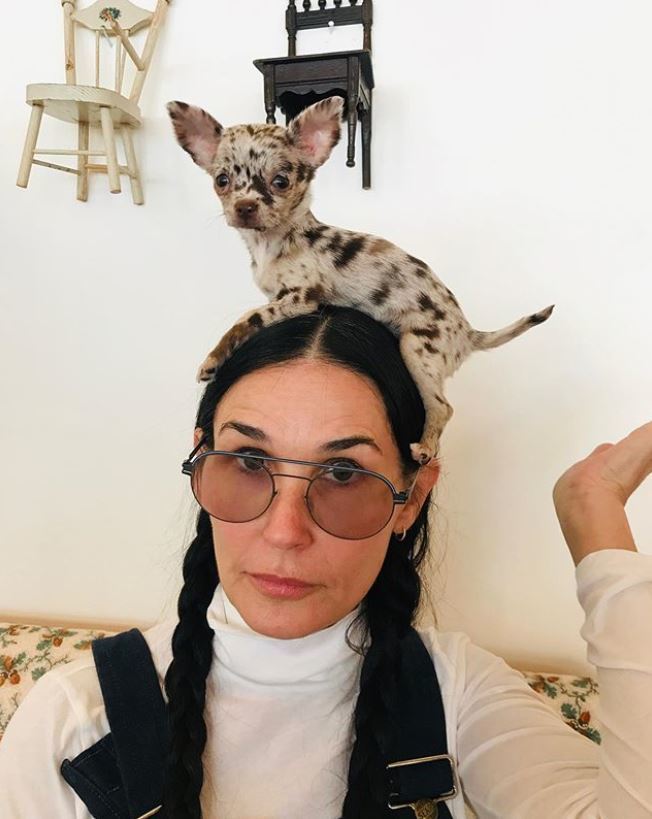 Demi Moore posed for a funny photo with her daughter Tallulah's new dog Cowboy on March 28, 2020, letting the dog sit on top of her head during a day inside.