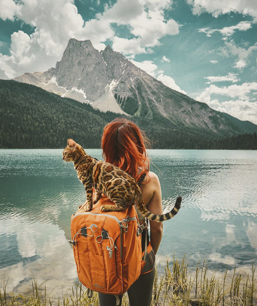 Adventures-suki-the-cat-canada