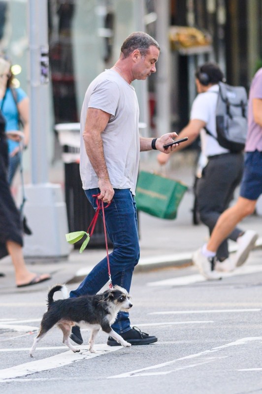 Liev Schreiber dog