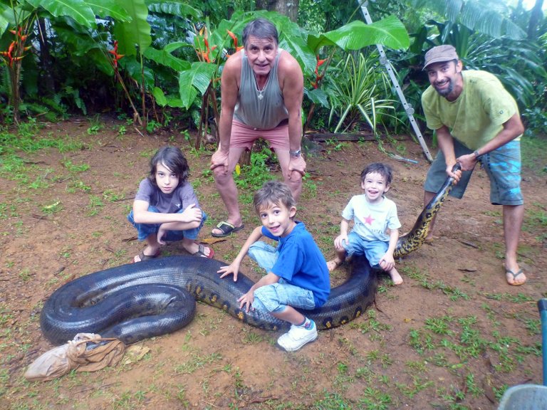 Giant Green Anaconda