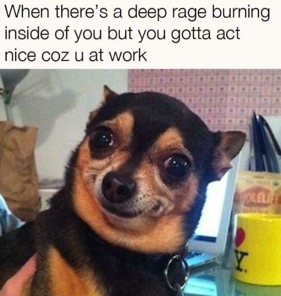 Dog - When there's a deep rage burning inside of you but you gotta act nice coz u at work OLELI