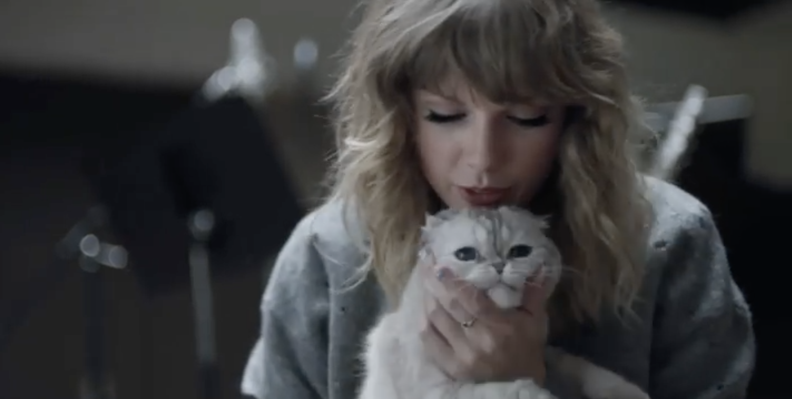 Taylor Swift's Cat, Olivia's Net Worth is Reportedly $97 Million