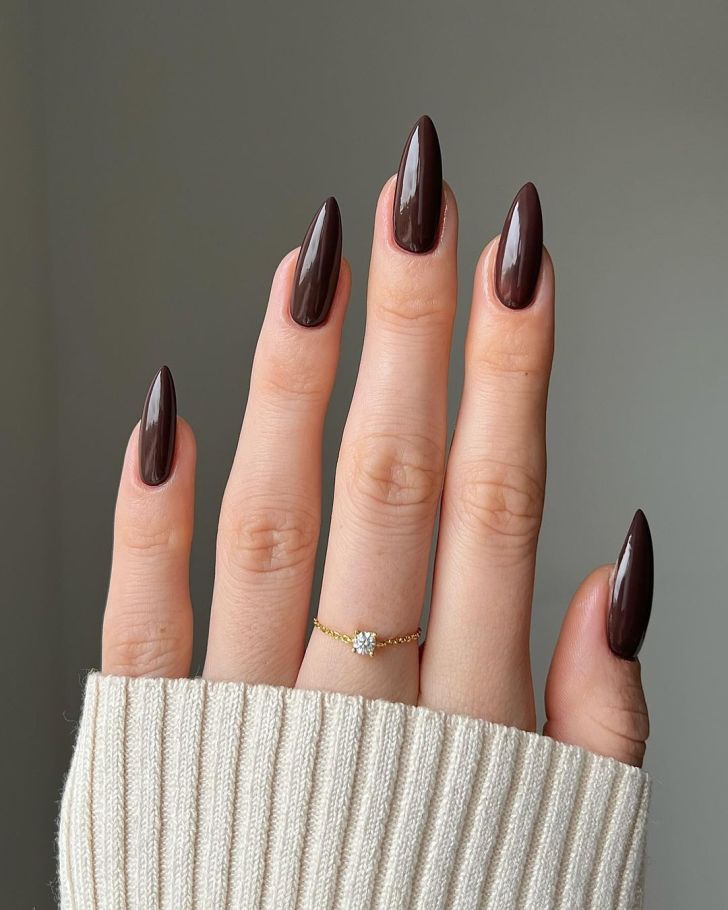 simple long dark brown Taylor Swift nails with pointed tips inspired by the Evermore album on the Eras tour