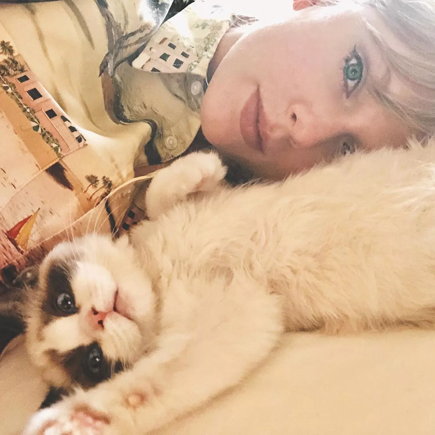 Taylor Swift cats