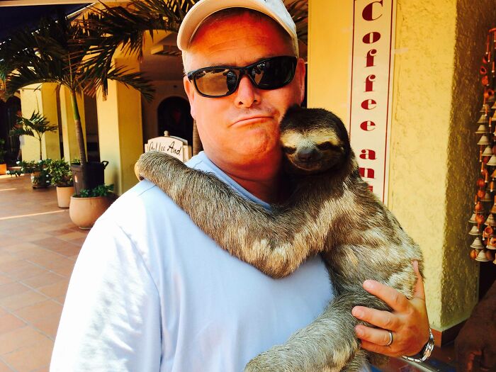 Dad With A Sloth, Super Jealous