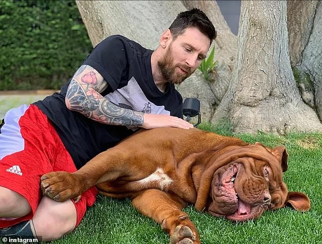 Messi Opens Up About the Difficult Decision to Leave Their Beloved Dog Hulk Behind When Moving from Barcelona to Miami 2