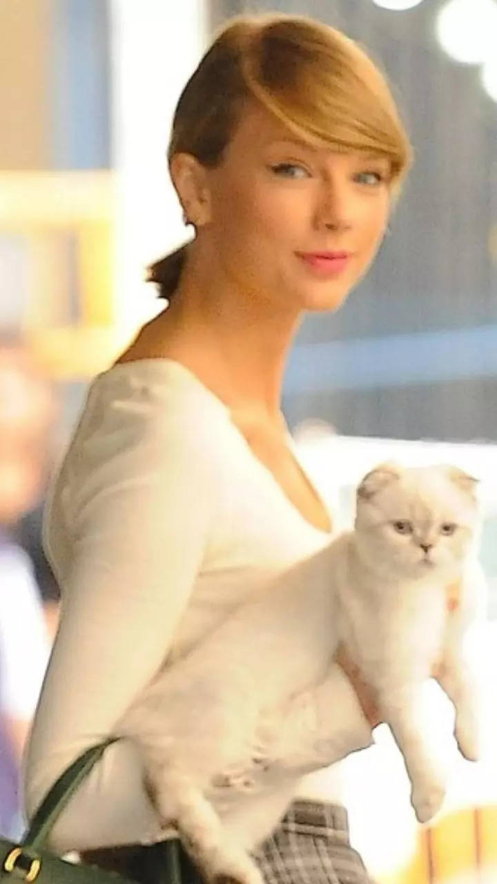 Taylor Swift's cat is worth $97 million: 9 richest pets in the world |  Times of India