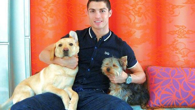 TCR. en X: "Cristiano Ronaldo + Dogs http://t.co/qcDEDWapDC" / X