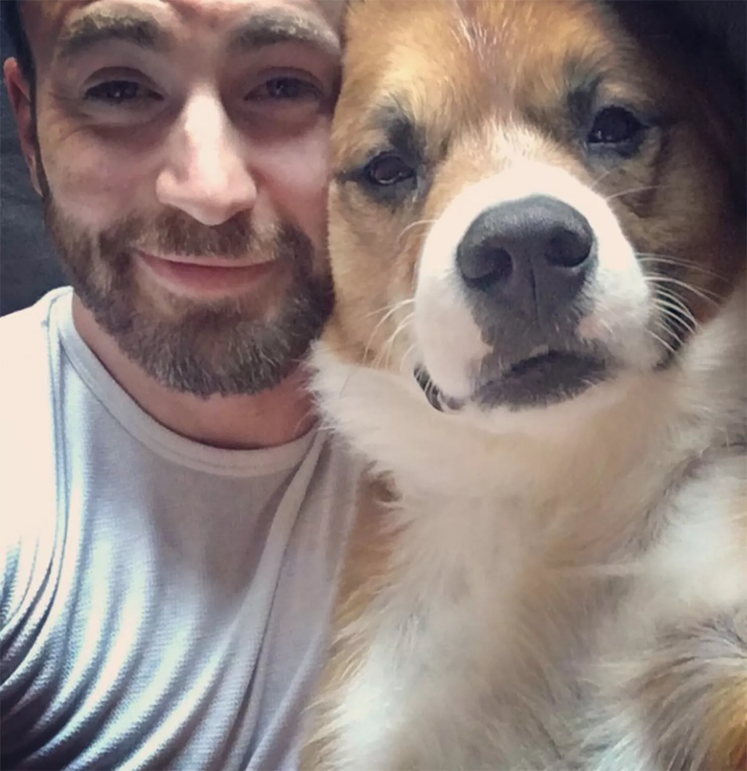 Chris Evans and dog