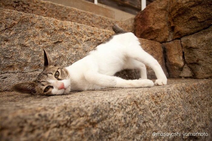 Mommy Told Me That I’m A Weirdo. She Doesn’t Understand Why I Sit Like This