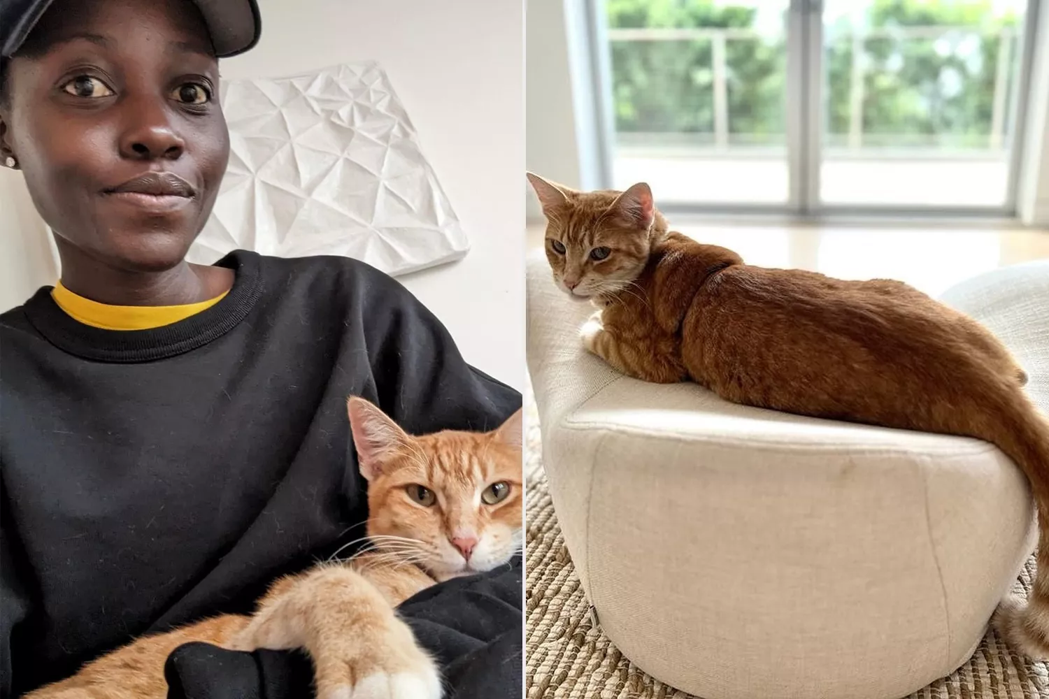 Lupita Nyong'o new cat