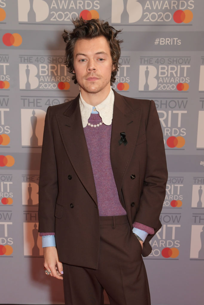 One fan stated: 'Cardigan is about Harry Styles - obviously'